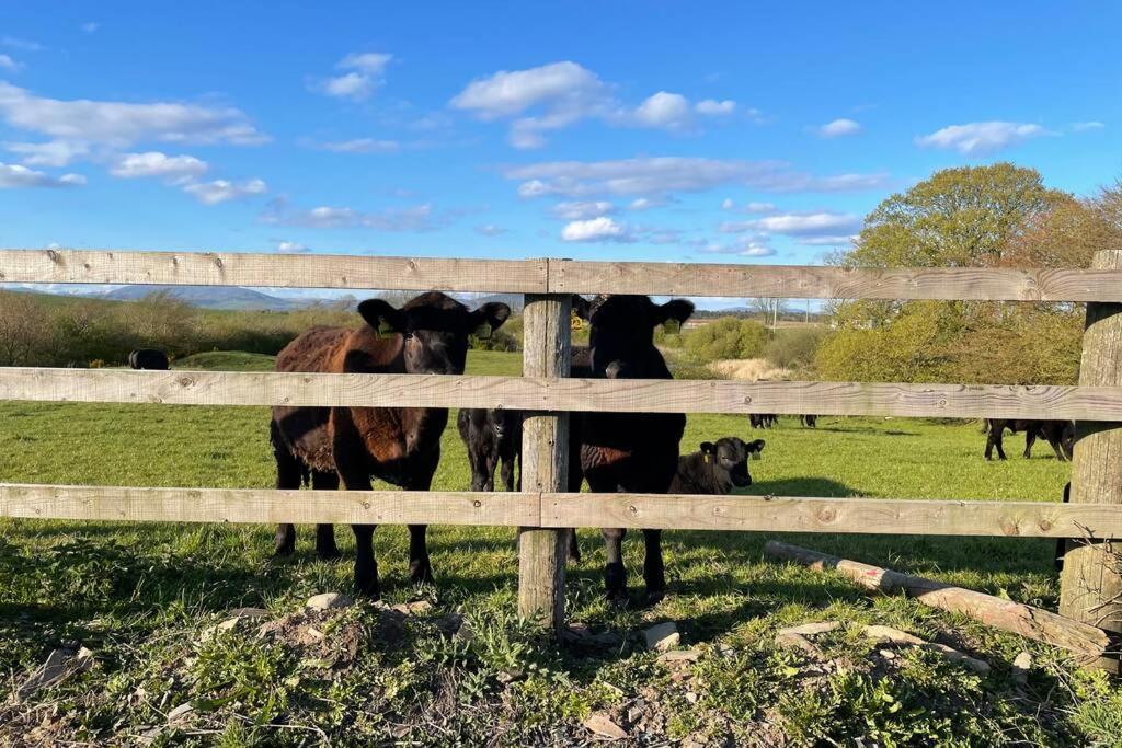 Galloway Farmstay Broughton Ньютон Стюарт Экстерьер фото