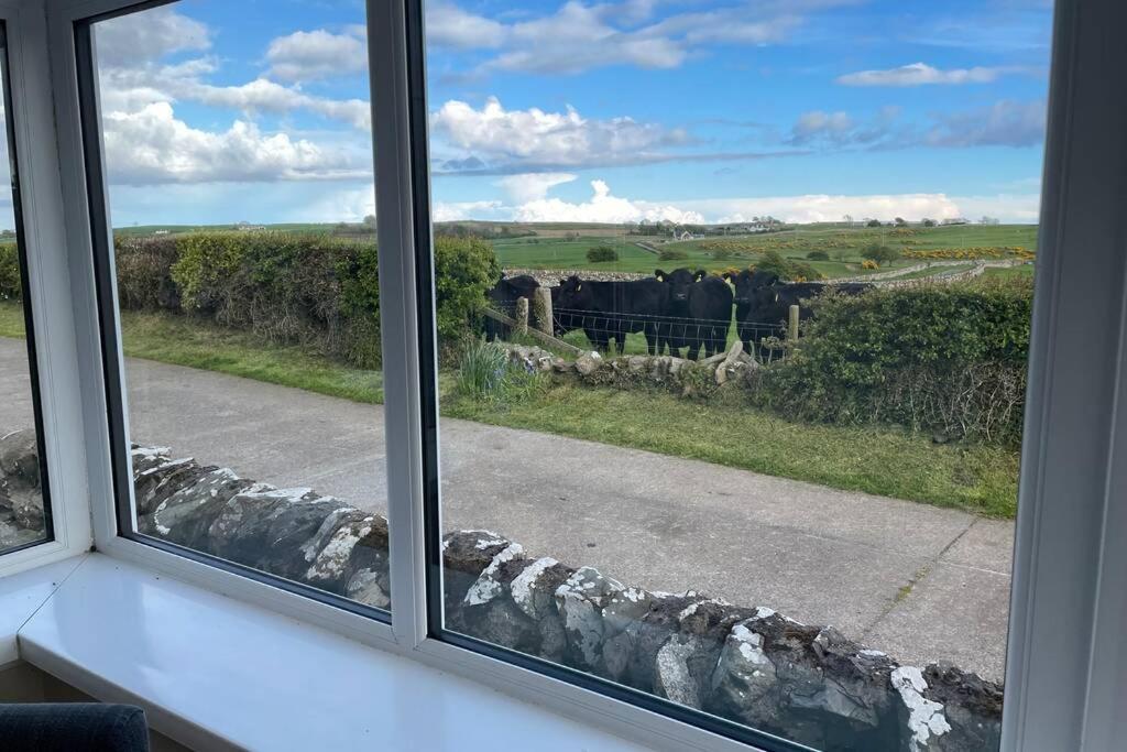 Galloway Farmstay Broughton Ньютон Стюарт Экстерьер фото